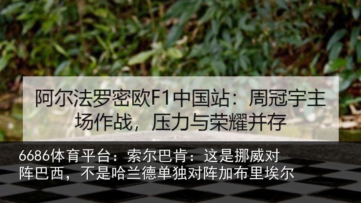 6686体育平台:索尔巴肯:这是挪威对阵巴西,不是哈兰德单独对阵加布里埃尔